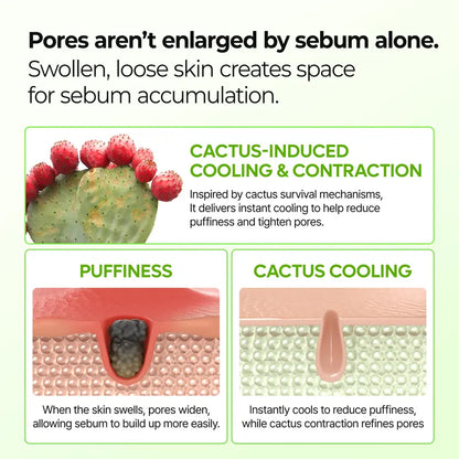 CACTOX PORE RELIEF MULTI BALM with Cactus Cooling Reduce Puffiness & Pore Tightening for Visible Pore Care Skin Repair